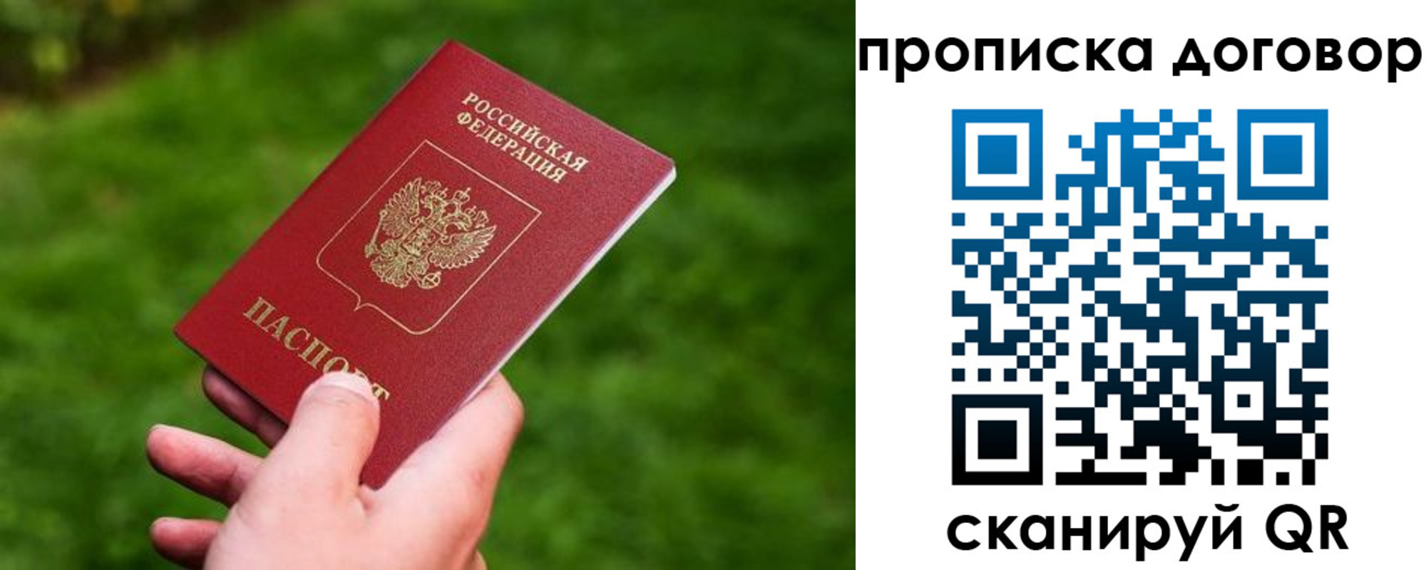 прописка гарантия в Тынде